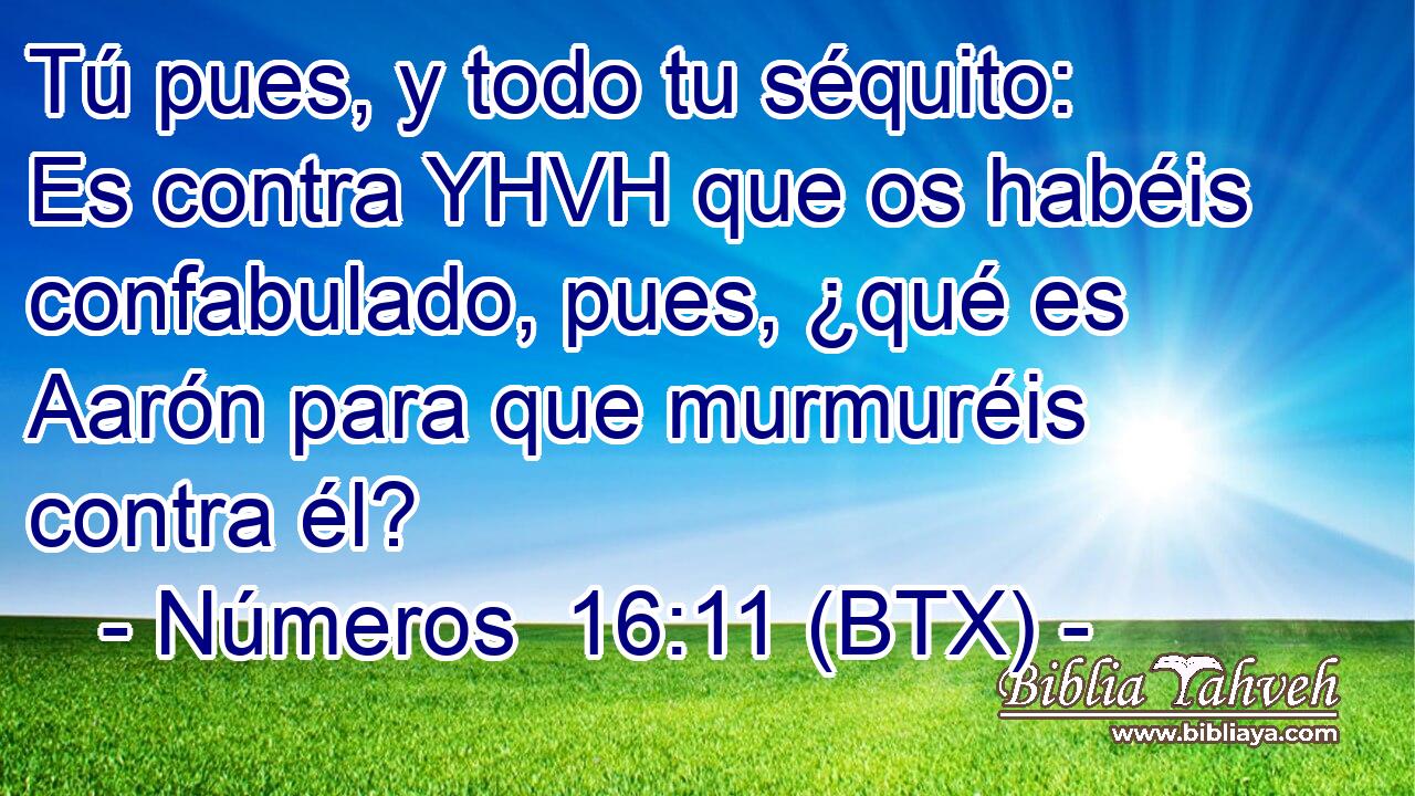 Tú pues, y todo tu séquito: Es contra YHVH que os habéis confabulado, pues, ¿qué es Aarón para que murmuréis contra él?