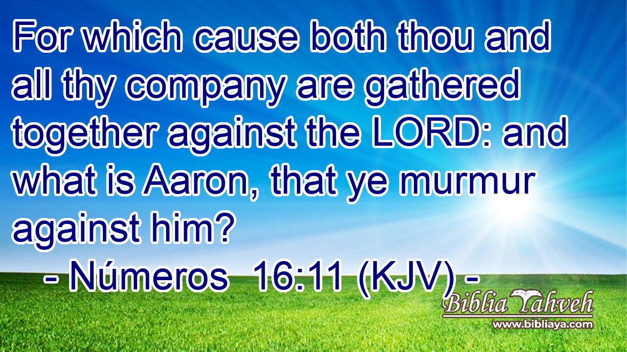 For which cause both thou and all thy company are gathered together against the LORD: and what is Aaron, that ye murmur against him?