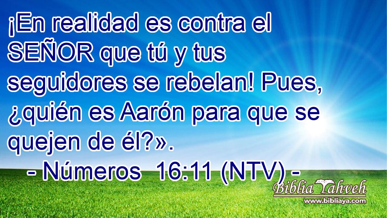 ¡En realidad es contra el SEÑOR que tú y tus seguidores se rebelan! Pues, ¿quién es Aarón para que se quejen de él?».