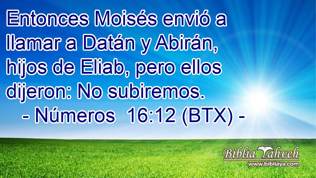 Entonces Moisés envió a llamar a Datán y Abirán, hijos de Eliab, pero ellos dijeron: No subiremos.