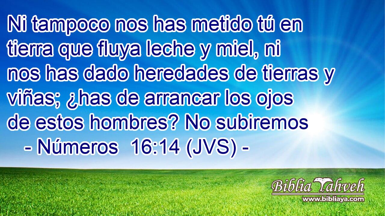 Ni tampoco nos has metido tú en tierra que fluya leche y miel, ni nos has dado heredades de tierras y viñas; ¿has de arrancar los ojos de estos hombres? No subiremos