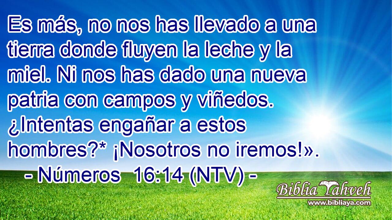Es más, no nos has llevado a una tierra donde fluyen la leche y la miel. Ni nos has dado una nueva patria con campos y viñedos. ¿Intentas engañar a estos hombres?* ¡Nosotros no iremos!».