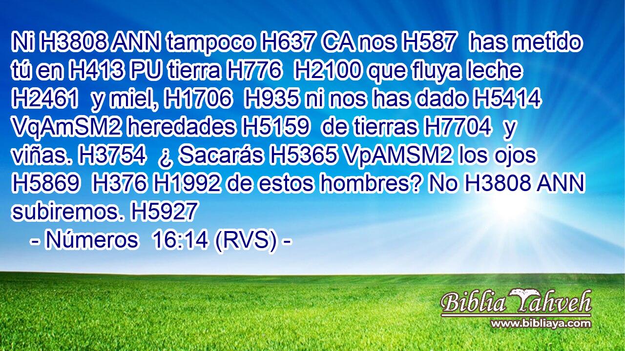 Ni H3808 ANN tampoco H637 CA nos H587  has metido tú en H413 PU tierra H776  H2100 que fluya leche H2461  y miel, H1706  H935 ni nos has dado H5414 VqAmSM2 heredades H5159  de tierras H7704  y viñas. H3754  ¿ Sacarás H5365 VpAMSM2 los ojos H5869  H376 H1992 de estos hombres? No H3808 ANN subiremos. H5927  