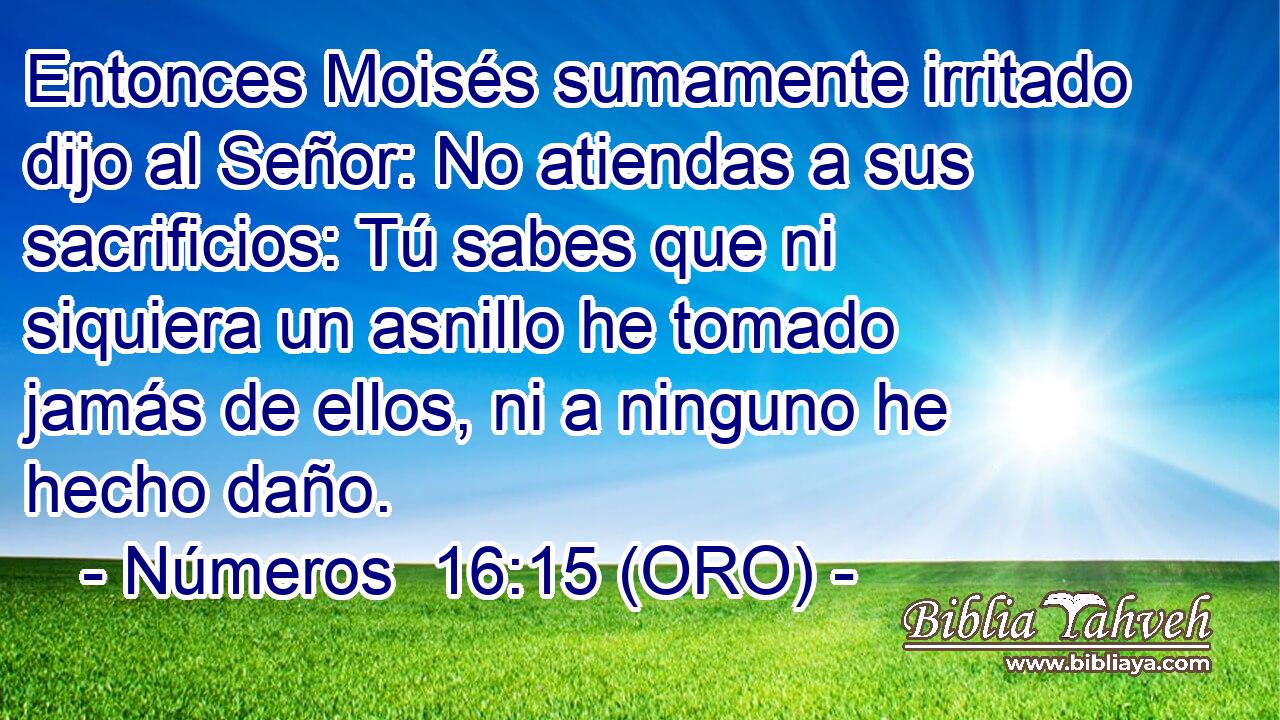  Entonces Moisés sumamente irritado dijo al Señor: No atiendas a sus sacrificios: Tú sabes que ni siquiera un asnillo he tomado jamás de ellos, ni a ninguno he hecho daño. 