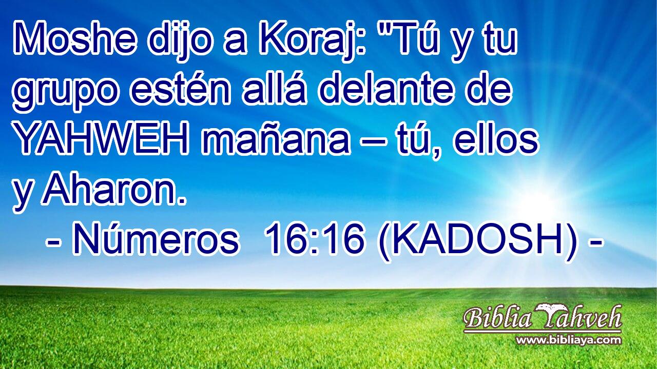  Moshe dijo a Koraj: 