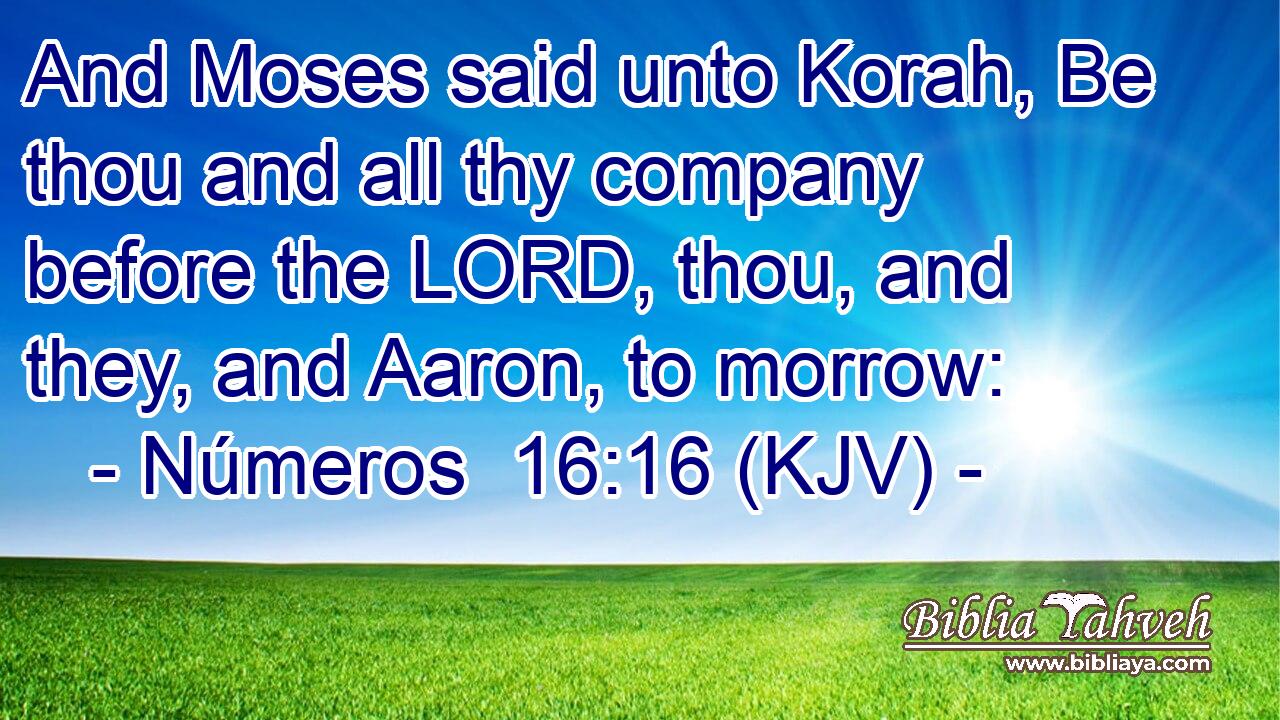 And Moses said unto Korah, Be thou and all thy company before the LORD, thou, and they, and Aaron, to morrow: