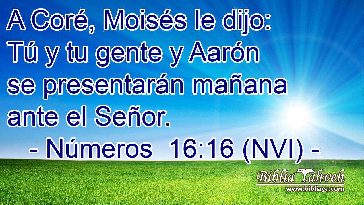  A Coré, Moisés le dijo: Tú y tu gente y Aarón se presentarán mañana ante el Señor. 