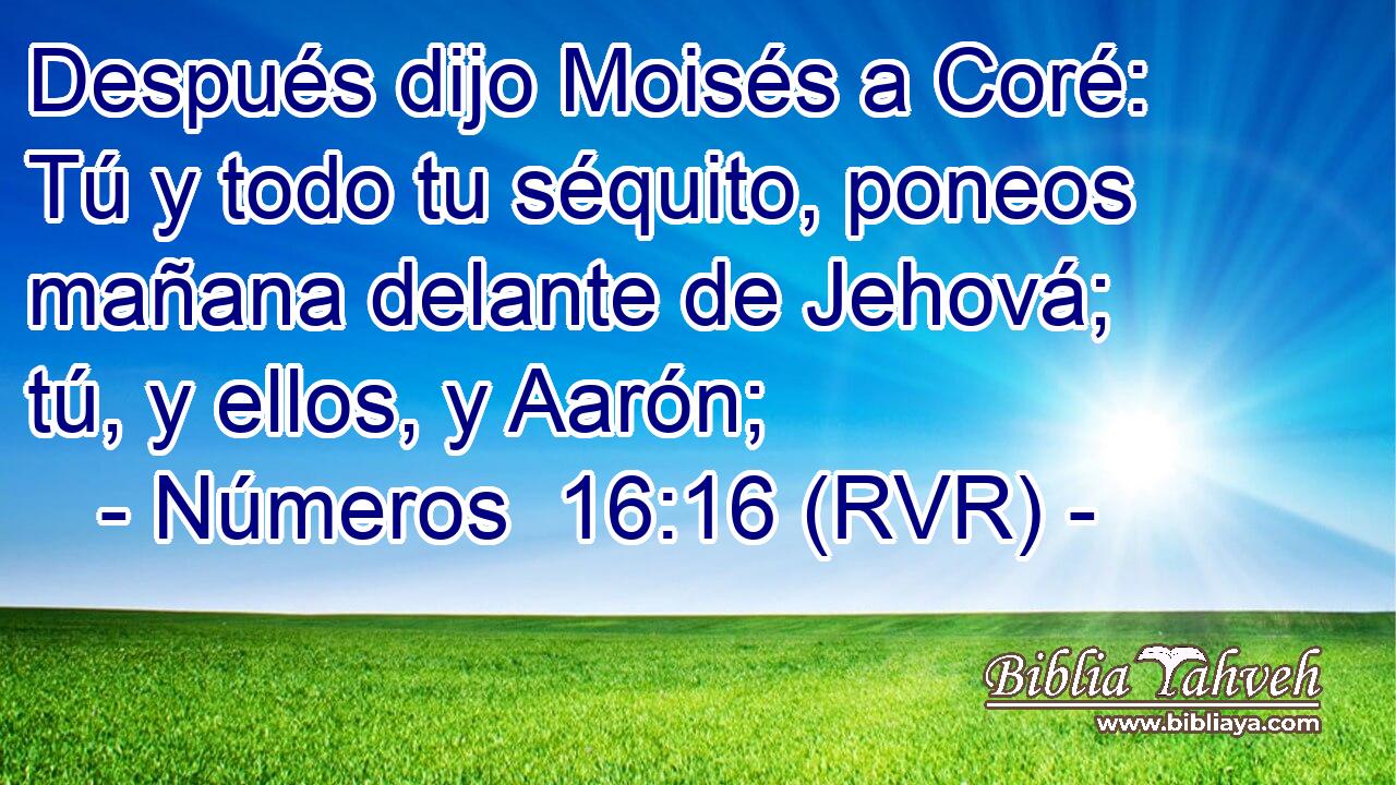 Después dijo Moisés a Coré: Tú y todo tu séquito, poneos mañana delante de Jehová; tú, y ellos, y Aarón;