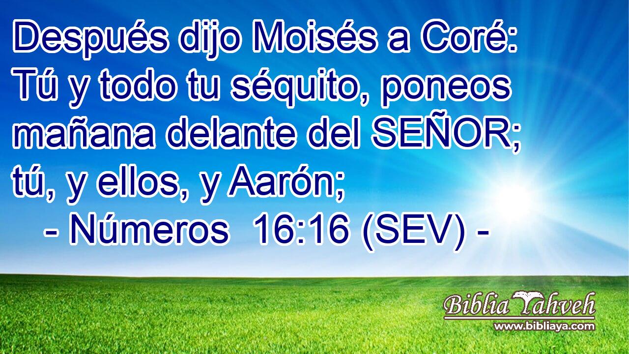 Después dijo Moisés a Coré: Tú y todo tu séquito, poneos mañana delante del SEÑOR; tú, y ellos, y Aarón;