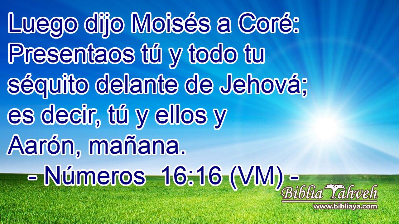  Luego dijo Moisés a Coré: Presentaos tú y todo tu séquito delante de Jehová; es decir, tú y ellos y Aarón, mañana. 