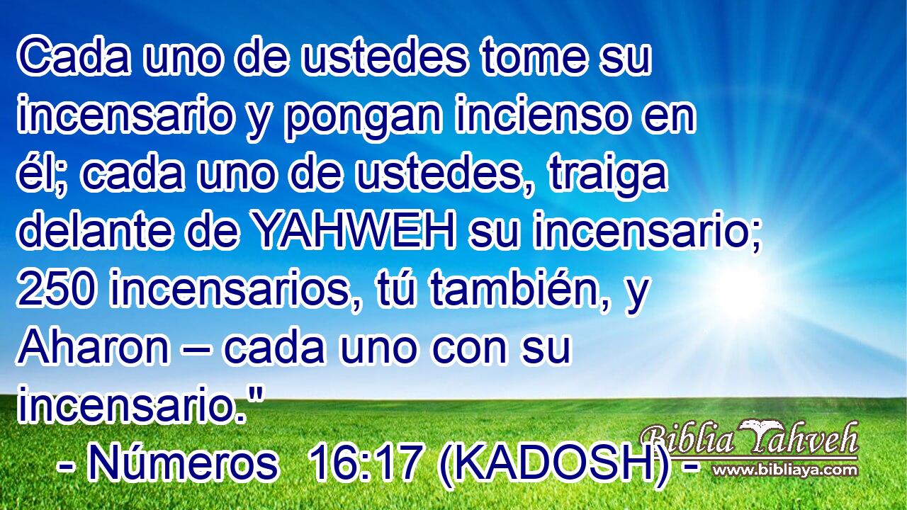  Cada uno de ustedes tome su incensario y pongan incienso en él; cada uno de ustedes, traiga delante de YAHWEH su incensario; 250 incensarios, tú también, y Aharon – cada uno con su incensario.
