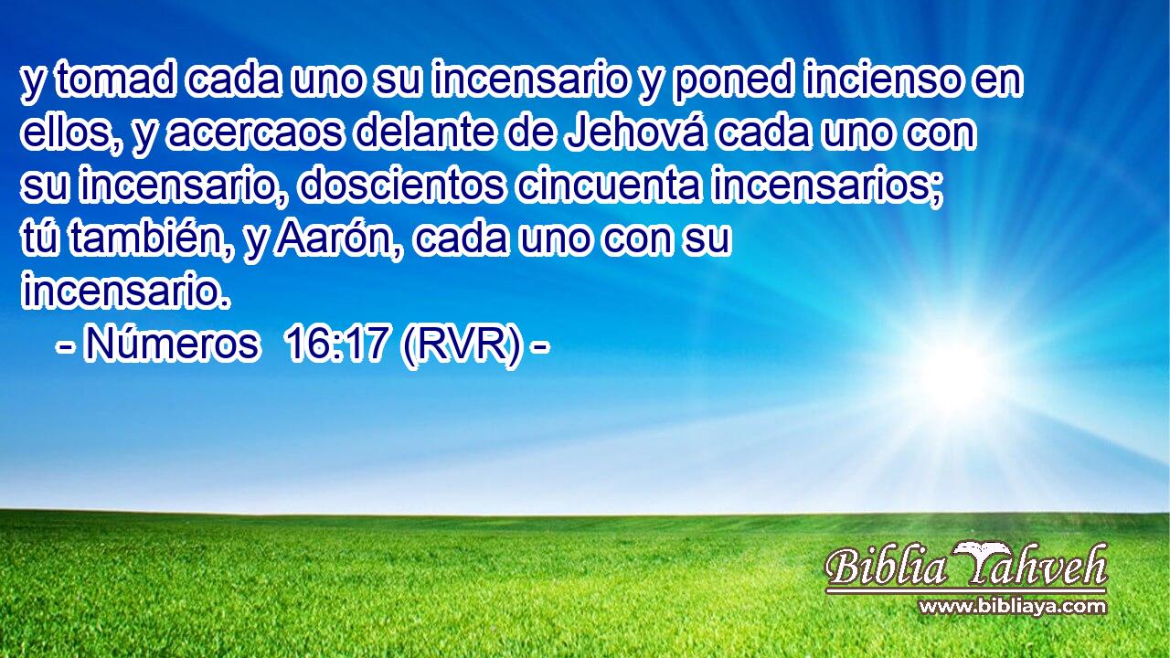 y tomad cada uno su incensario y poned incienso en ellos, y acercaos delante de Jehová cada uno con su incensario, doscientos cincuenta incensarios; tú también, y Aarón, cada uno con su incensario.