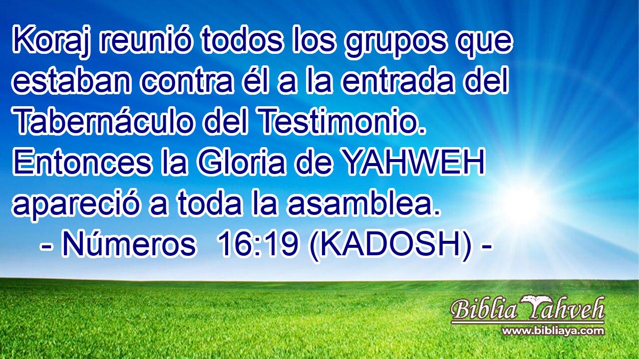  Koraj reunió todos los grupos que estaban contra él a la entrada del Tabernáculo del Testimonio. Entonces la Gloria de YAHWEH apareció a toda la asamblea. 