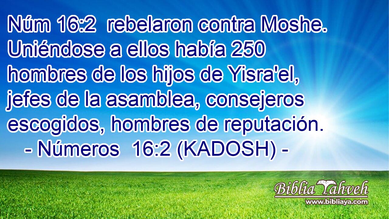  rebelaron contra Moshe. Uniéndose a ellos había 250 hombres de los hijos de Yisra'el, jefes de la asamblea, consejeros escogidos, hombres de reputación. 