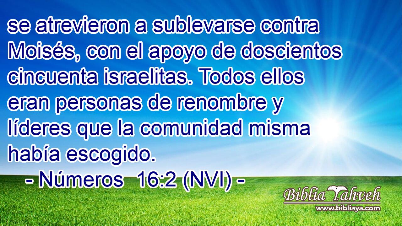  se atrevieron a sublevarse contra Moisés, con el apoyo de doscientos cincuenta israelitas. Todos ellos eran personas de renombre y líderes que la comunidad misma había escogido. 