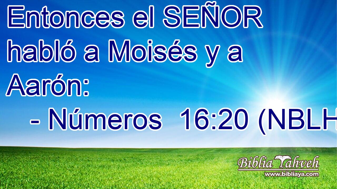  Entonces el SEÑOR habló a Moisés y a Aarón: 