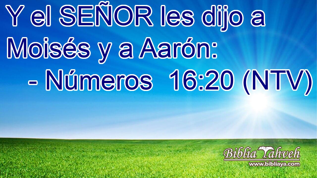 Y el SEÑOR les dijo a Moisés y a Aarón: