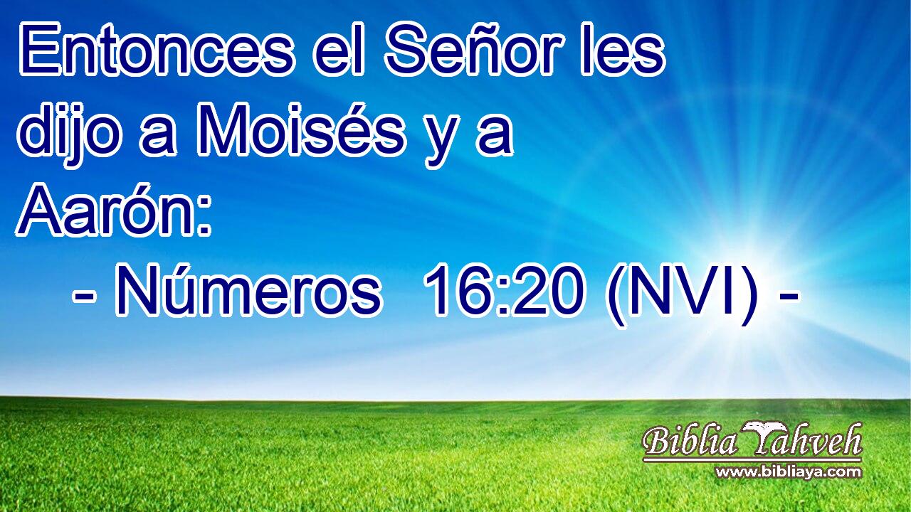  Entonces el Señor les dijo a Moisés y a Aarón: 