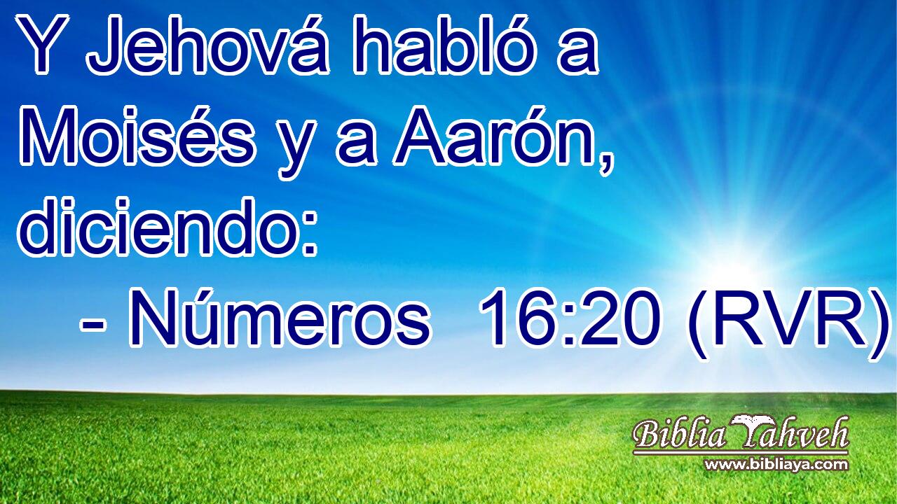 Y Jehová habló a Moisés y a Aarón, diciendo: