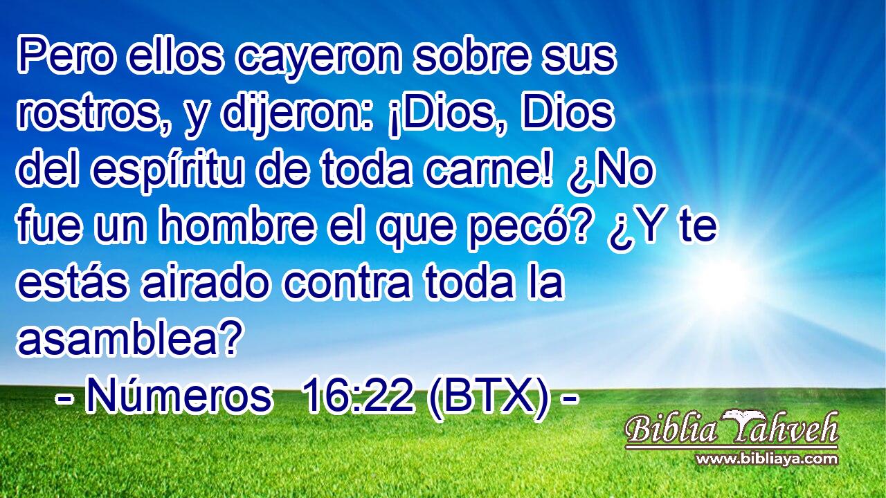 Pero ellos cayeron sobre sus rostros, y dijeron: ¡Dios, Dios del espíritu de toda carne! ¿No fue un hombre el que pecó? ¿Y te estás airado contra toda la asamblea?