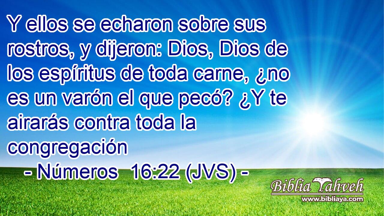 Y ellos se echaron sobre sus rostros, y dijeron: Dios, Dios de los espíritus de toda carne, ¿no es un varón el que pecó? ¿Y te airarás contra toda la congregación