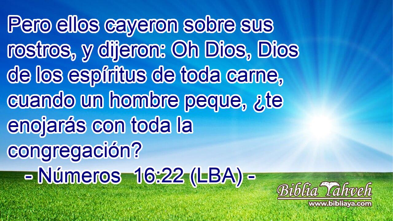 Pero ellos cayeron sobre sus rostros, y dijeron: Oh Dios, Dios de los espíritus de toda carne, cuando un hombre peque, ¿te enojarás con toda la congregación?