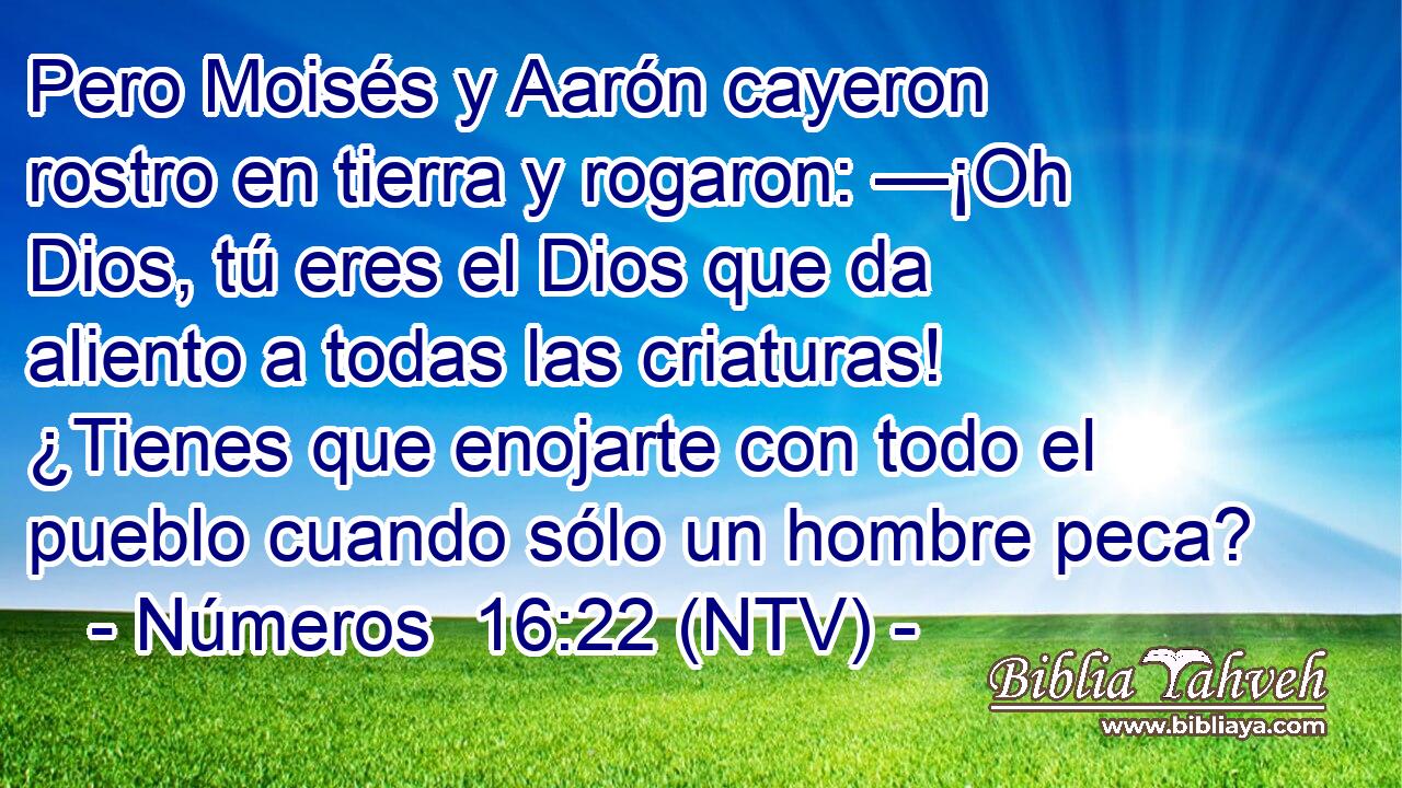 Pero Moisés y Aarón cayeron rostro en tierra y rogaron: —¡Oh Dios, tú eres el Dios que da aliento a todas las criaturas! ¿Tienes que enojarte con todo el pueblo cuando sólo un hombre peca?