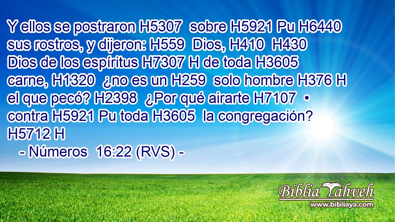 Y ellos se postraron H5307  sobre H5921 Pu H6440 sus rostros, y dijeron: H559  Dios, H410  H430 Dios de los espíritus H7307 H de toda H3605  carne, H1320  ¿no es un H259  solo hombre H376 H el que pecó? H2398  ¿Por qué airarte H7107  • contra H5921 Pu toda H3605  la congregación? H5712 H 