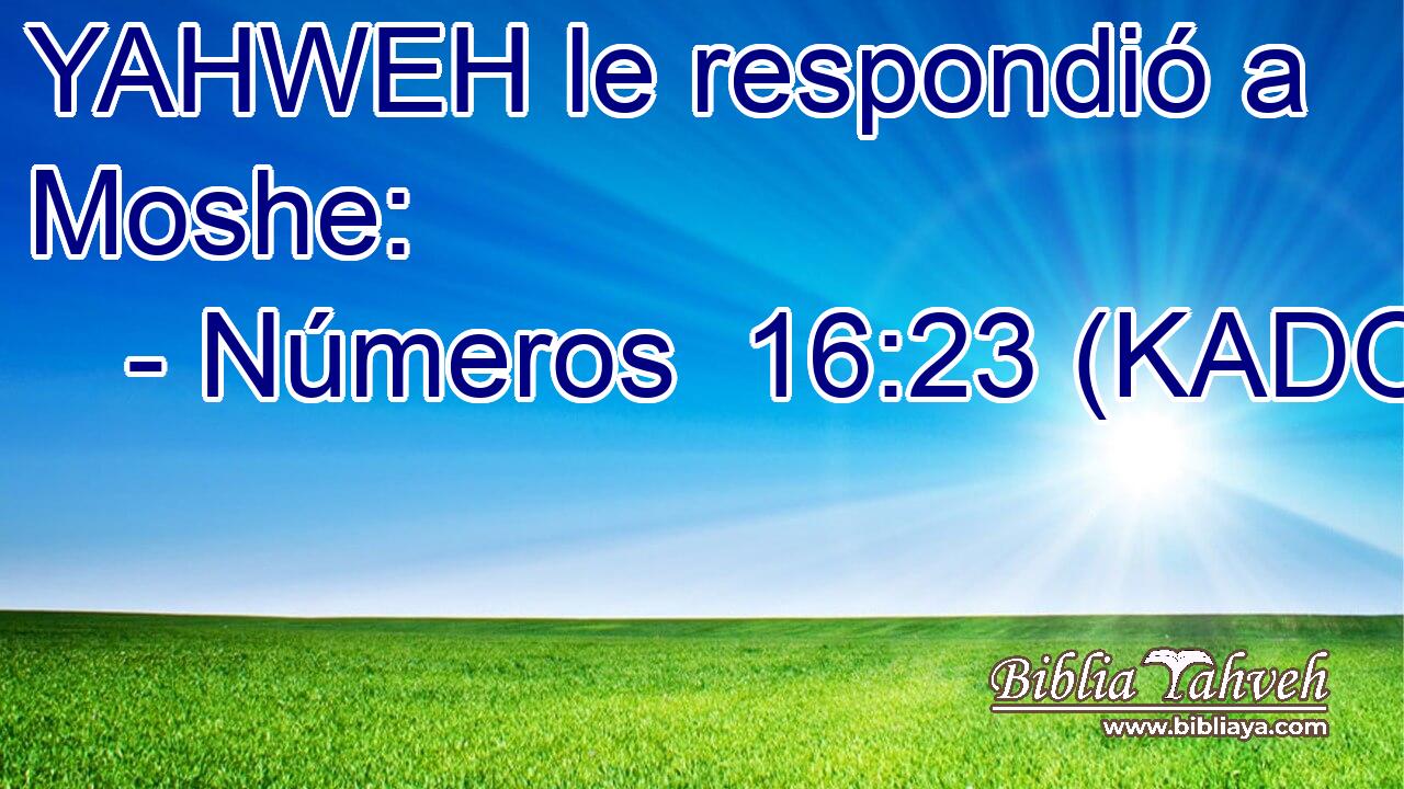  YAHWEH le respondió a Moshe: 