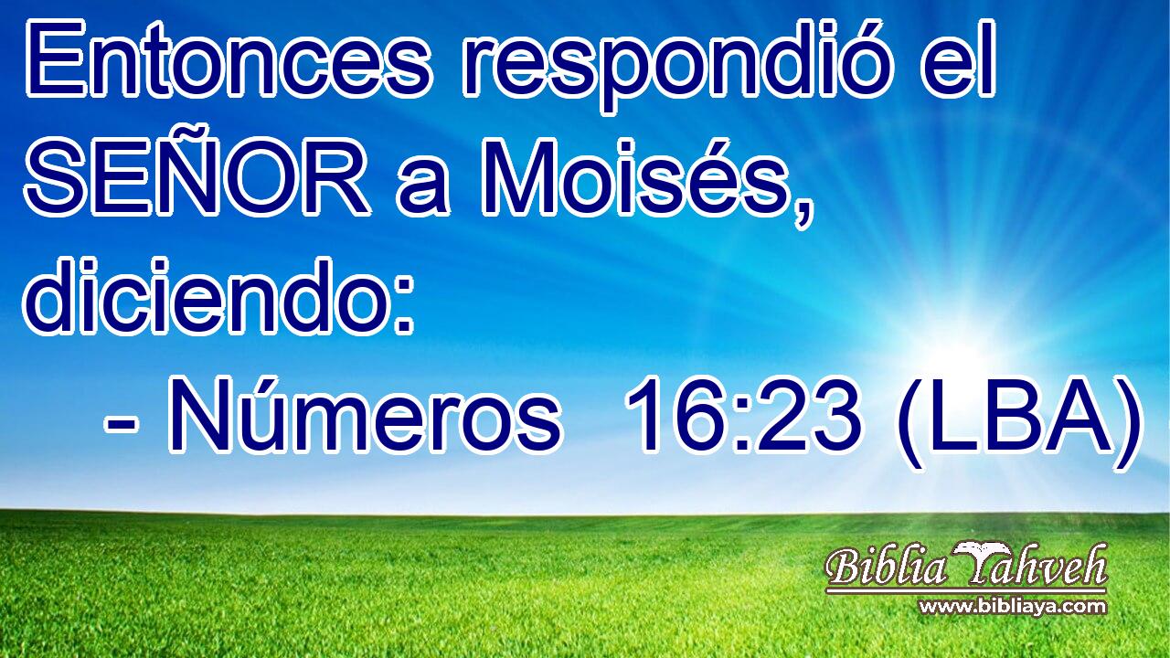 Entonces respondió el SEÑOR a Moisés, diciendo: