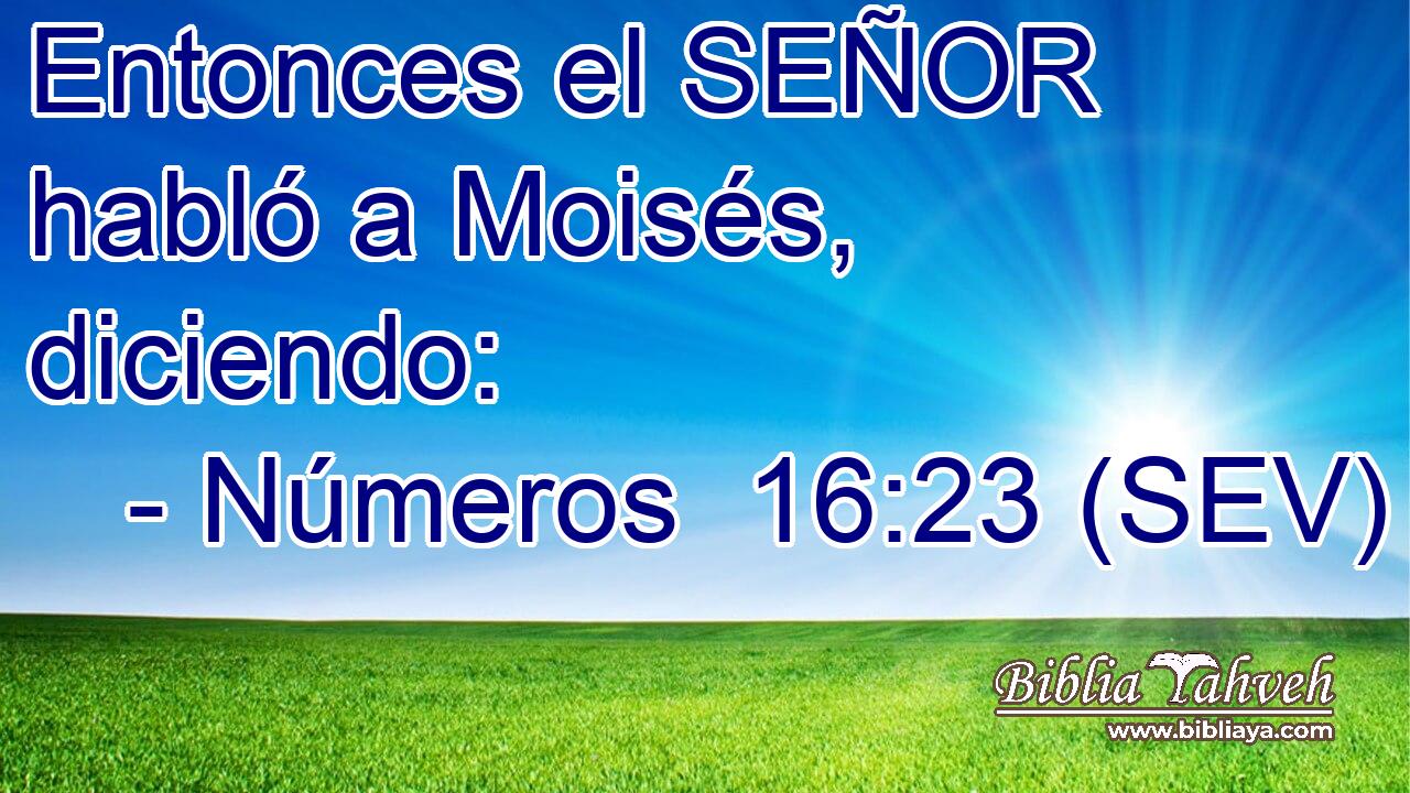 Entonces el SEÑOR habló a Moisés, diciendo: