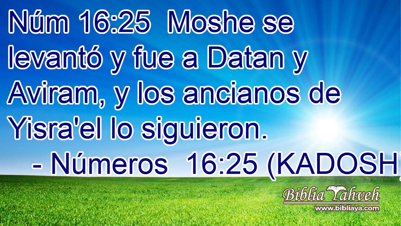  Moshe se levantó y fue a Datan y Aviram, y los ancianos de Yisra'el lo siguieron. 