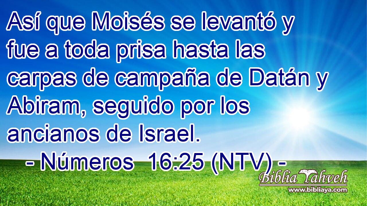 Así que Moisés se levantó y fue a toda prisa hasta las carpas de campaña de Datán y Abiram, seguido por los ancianos de Israel.