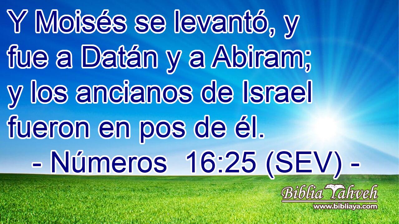Y Moisés se levantó, y fue a Datán y a Abiram; y los ancianos de Israel fueron en pos de él.
