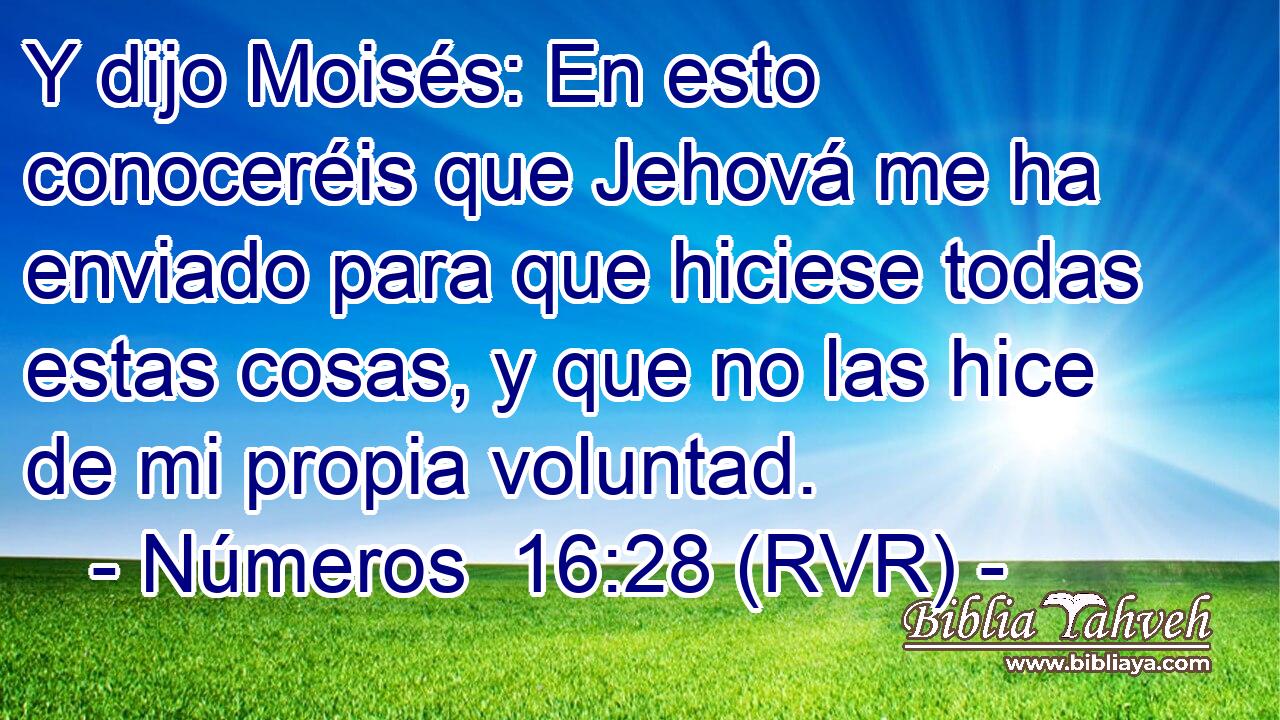 Y dijo Moisés: En esto conoceréis que Jehová me ha enviado para que hiciese todas estas cosas, y que no las hice de mi propia voluntad.
