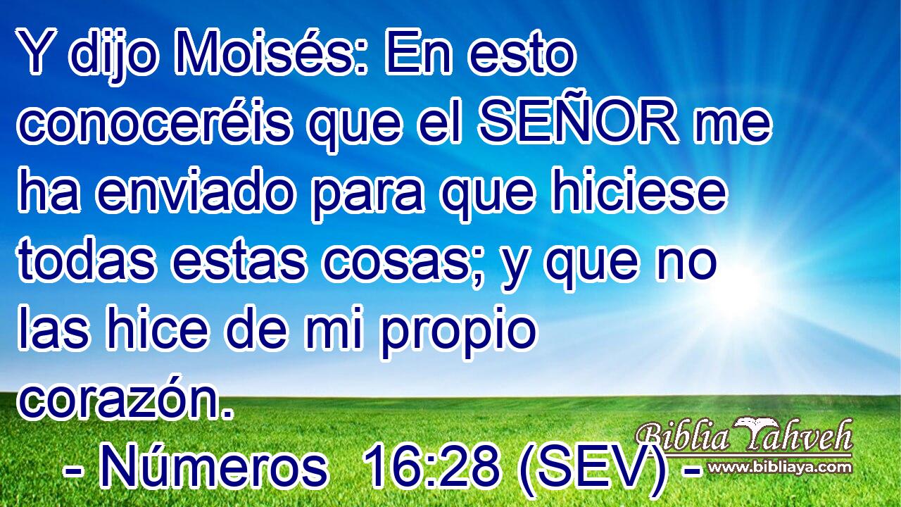 Y dijo Moisés: En esto conoceréis que el SEÑOR me ha enviado para que hiciese todas estas cosas; y que no las hice de mi propio corazón.