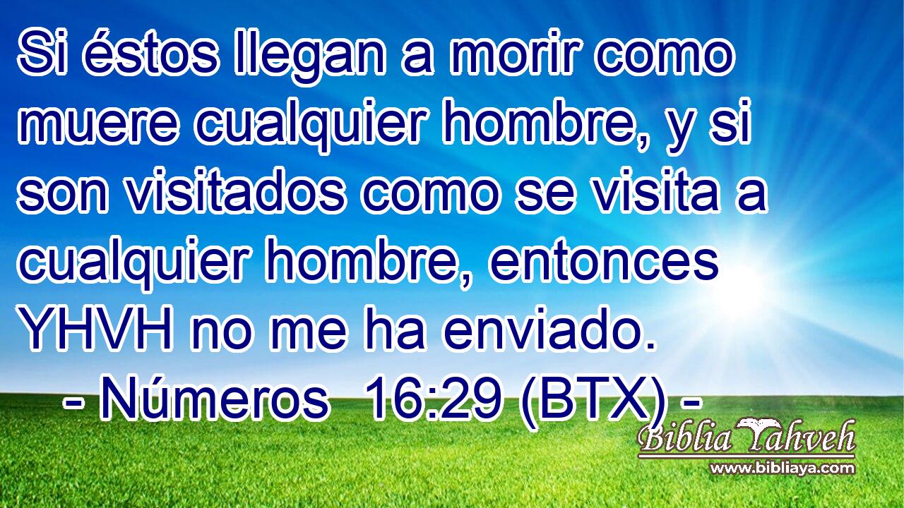 Si éstos llegan a morir como muere cualquier hombre, y si son visitados como se visita a cualquier hombre, entonces YHVH no me ha enviado.