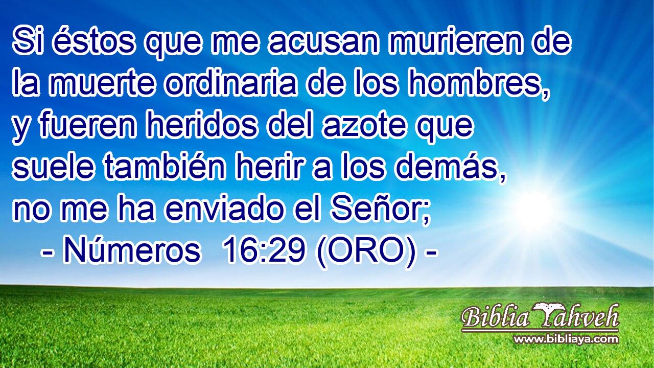  Si éstos que me acusan murieren de la muerte ordinaria de los hombres, y fueren heridos del azote que suele también herir a los demás, no me ha enviado el Señor; 