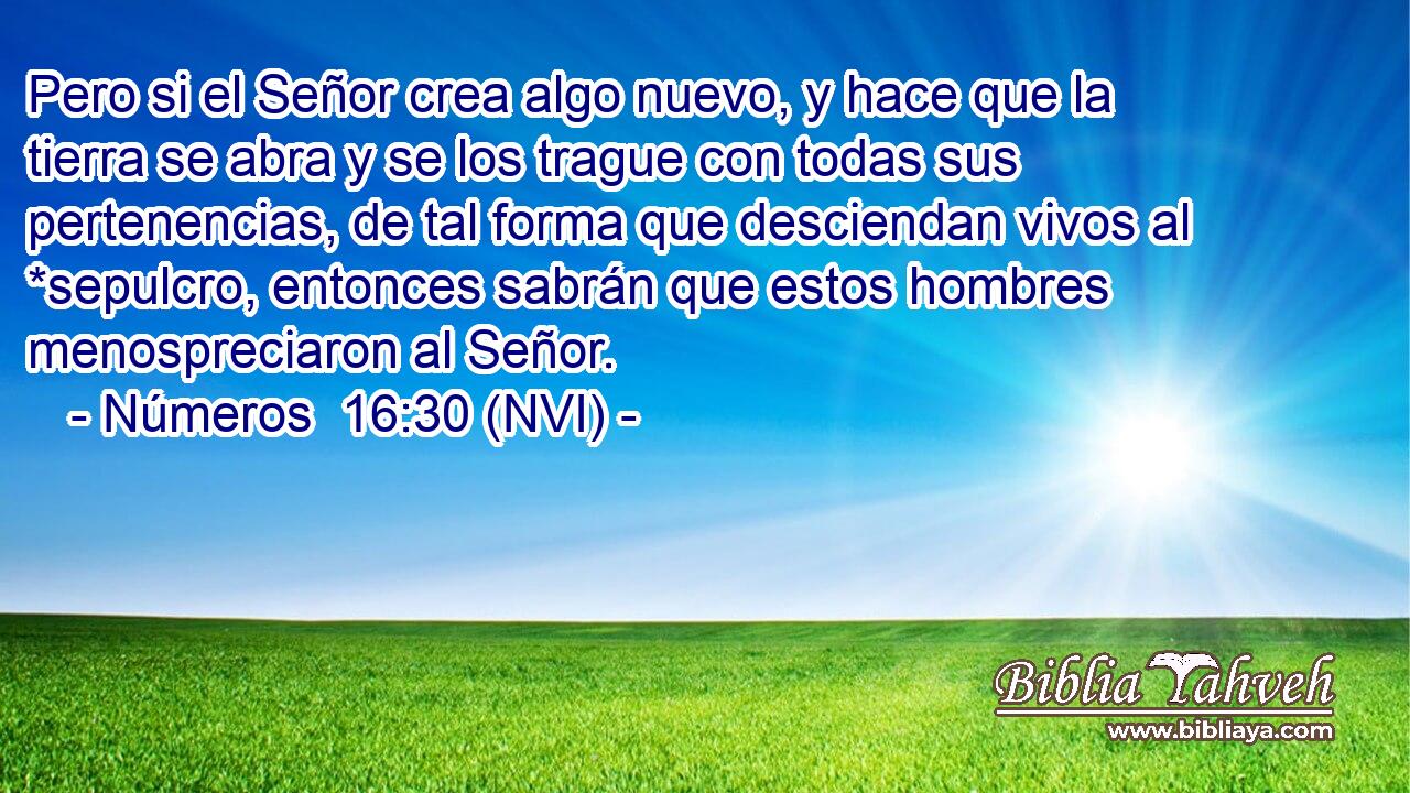  Pero si el Señor crea algo nuevo, y hace que la tierra se abra y se los trague con todas sus pertenencias, de tal forma que desciendan vivos al *sepulcro, entonces sabrán que estos hombres menospreciaron al Señor. 