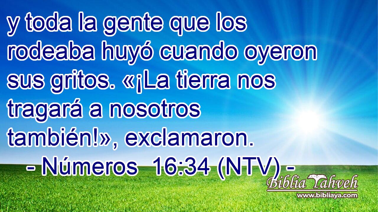 y toda la gente que los rodeaba huyó cuando oyeron sus gritos. «¡La tierra nos tragará a nosotros también!», exclamaron.