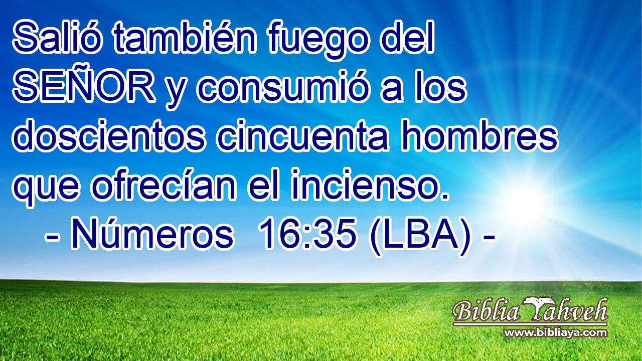 Salió también fuego del SEÑOR y consumió a los doscientos cincuenta hombres que ofrecían el incienso.