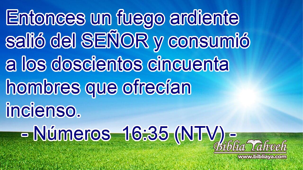 Entonces un fuego ardiente salió del SEÑOR y consumió a los doscientos cincuenta hombres que ofrecían incienso.