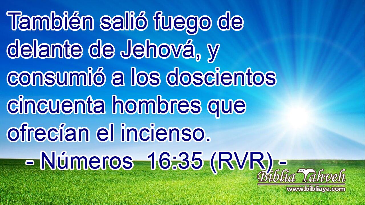 También salió fuego de delante de Jehová, y consumió a los doscientos cincuenta hombres que ofrecían el incienso.