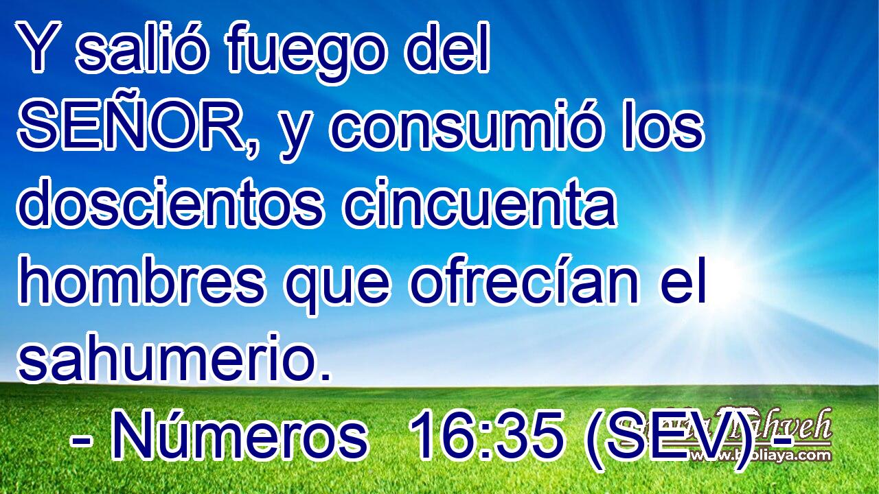 Y salió fuego del SEÑOR, y consumió los doscientos cincuenta hombres que ofrecían el sahumerio.