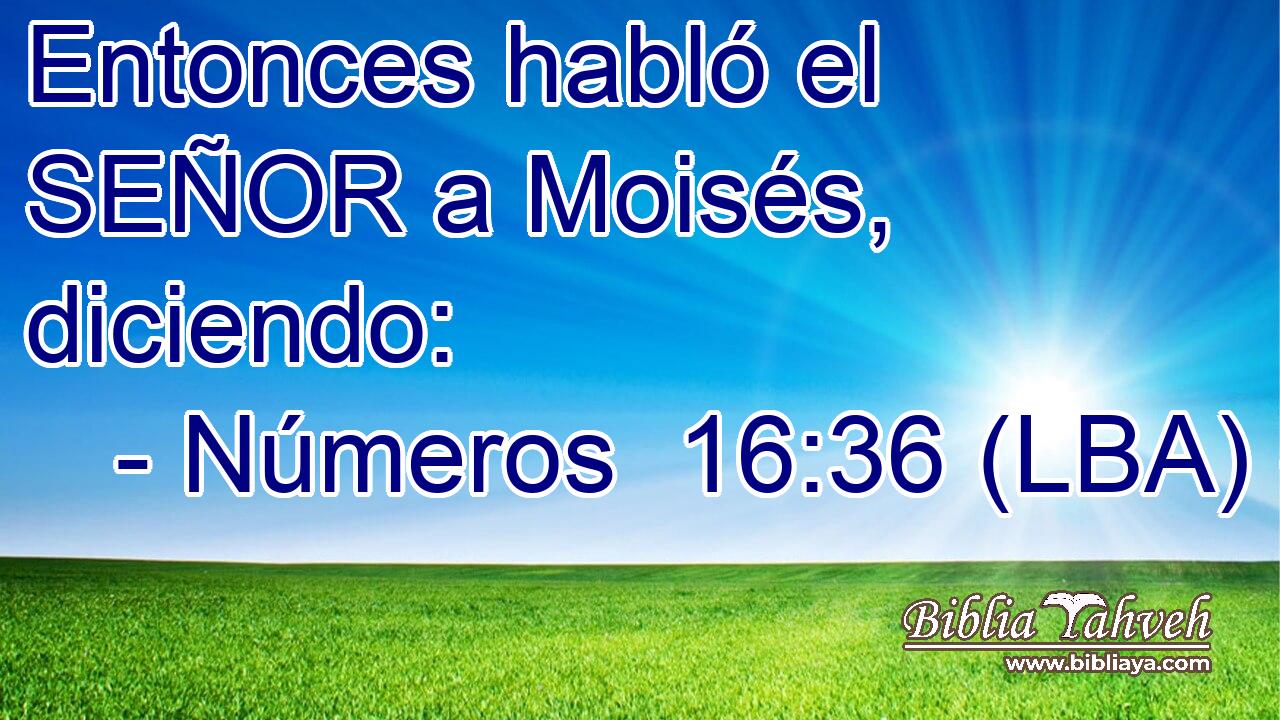 Entonces habló el SEÑOR a Moisés, diciendo: