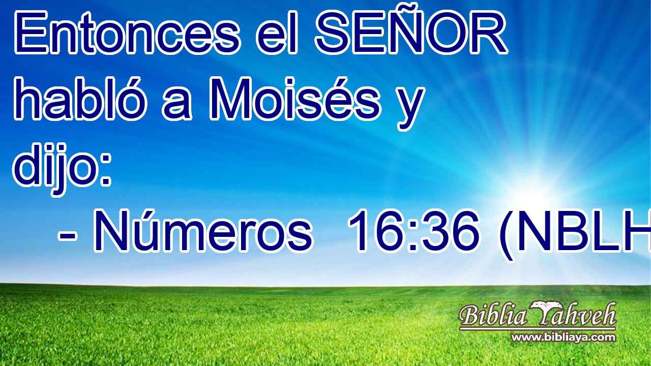  Entonces el SEÑOR habló a Moisés y dijo: 