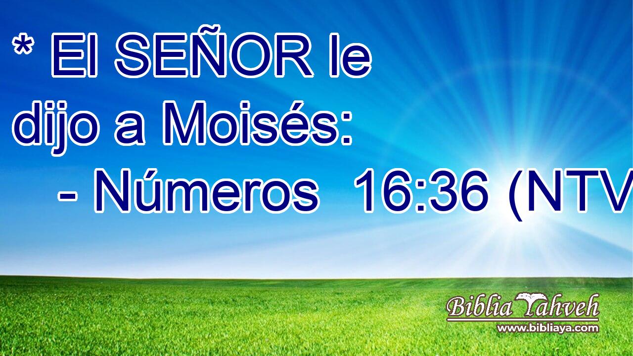 * El SEÑOR le dijo a Moisés: