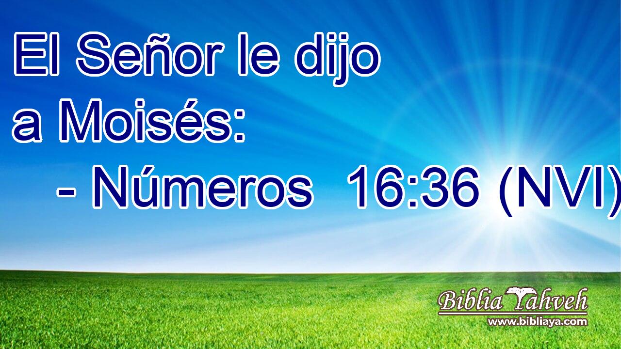  El Señor le dijo a Moisés: 