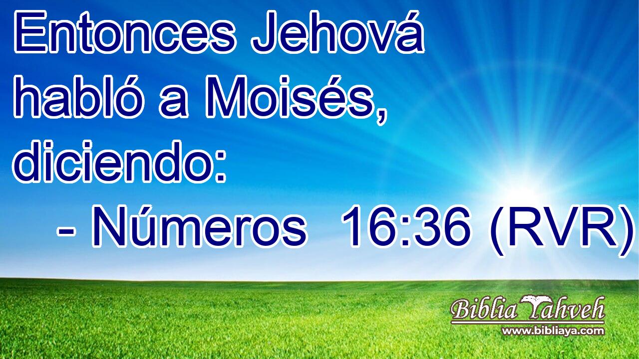 Entonces Jehová habló a Moisés, diciendo: