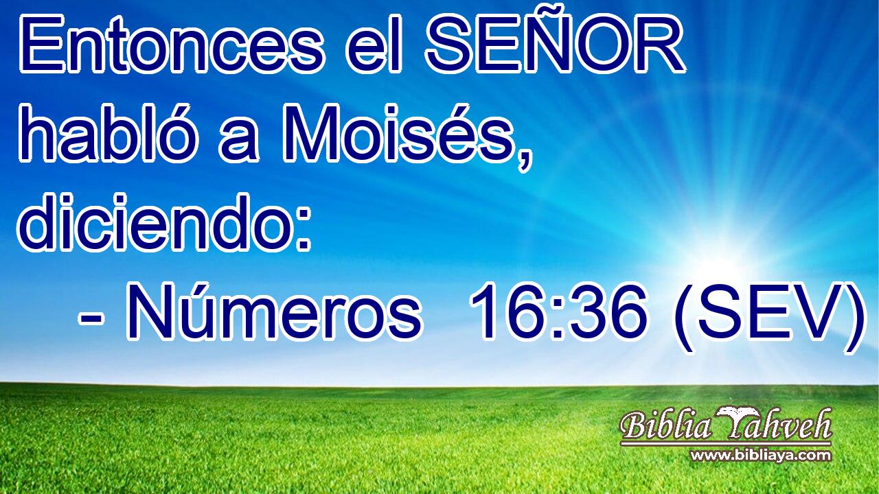 Entonces el SEÑOR habló a Moisés, diciendo: